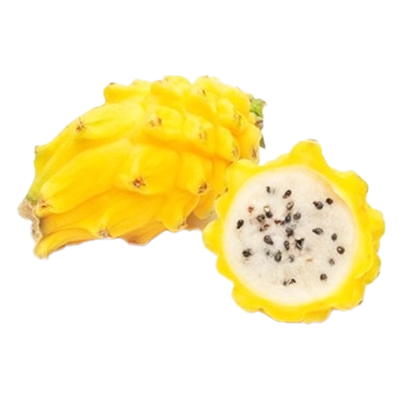 PITAHAYA X LIBRA
